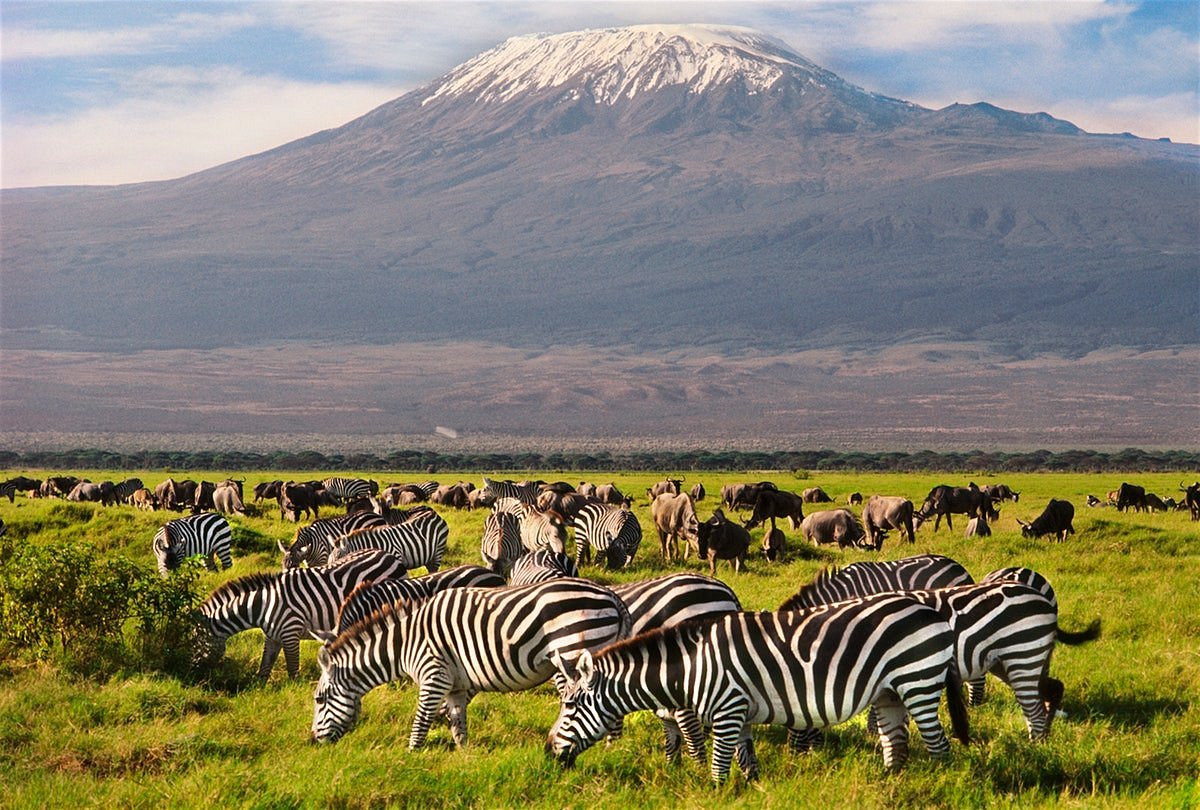 Lake Nakuru Flamingo Tour